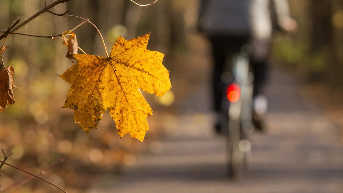 Sześć jesiennych wydarzeń w Małopolsce połączy sport z edukacją klimatyczną