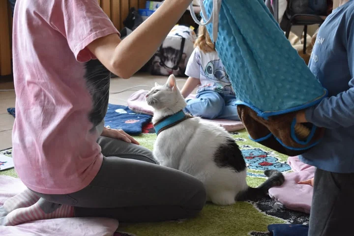 Grafika promocyjna wydarzenia SPECJALISTYCZNY KURS FELINOTERAPII — kurs praktyczny w Skawinie