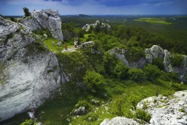 Jura Krakowsko-Częstochowska od podziemi po winnicę - rusza wycieczka ze Skawiny