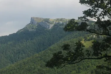 Skawińska wyprawa na Kľak - świt, Mała Fatra i dzień nad dolinami