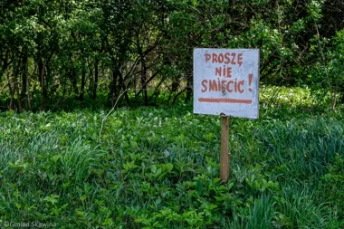 Jak mniej wyrzucać śmieci – proste nawyki, które odciążą Skawinę i środowisko